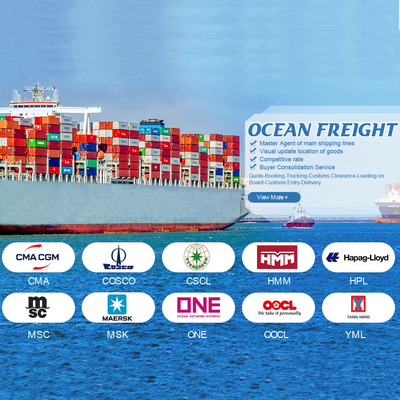 OOG BBK Container de 40 pieds Expédition maritime internationale Chine vers la Jordanie Pour le fret général