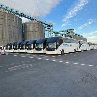RORO Lines de transport maritime de la Chine à l'Indonésie Agence professionnelle de transport international de fret Roro Transport