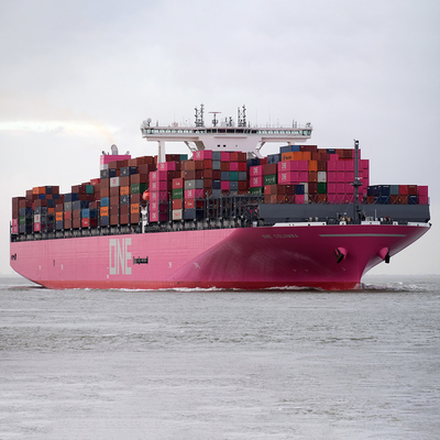 Services internationaux de fret en vrac / frais de fret en vrac de la Chine au Brunei